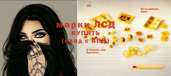 крисы Алексин