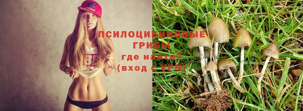 прущие крисы Абдулино