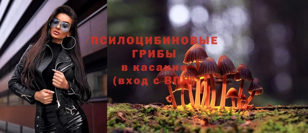 крисы Алексин
