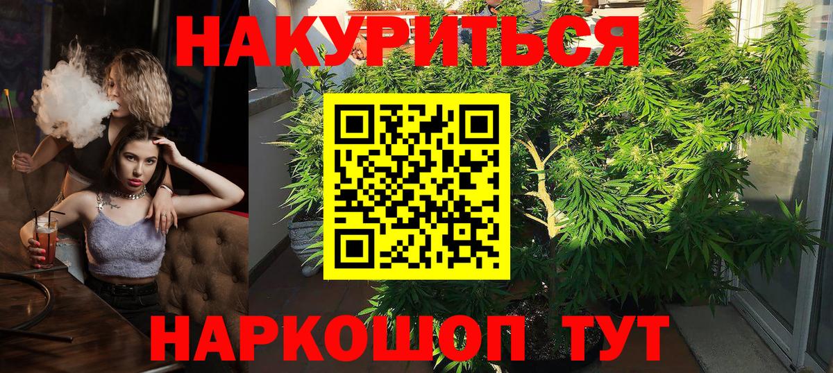 Канабис ГИДРОПОН Майский